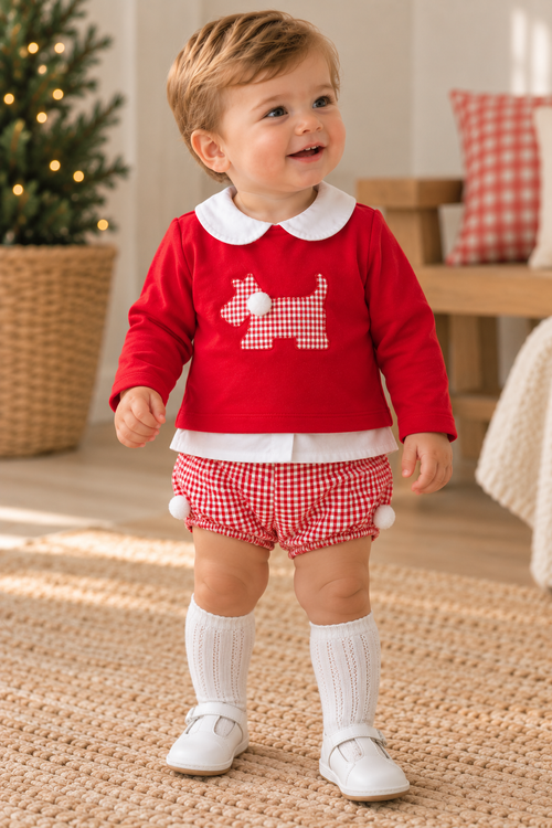 Baby Red Gingham Dog Set – 2 Pieces