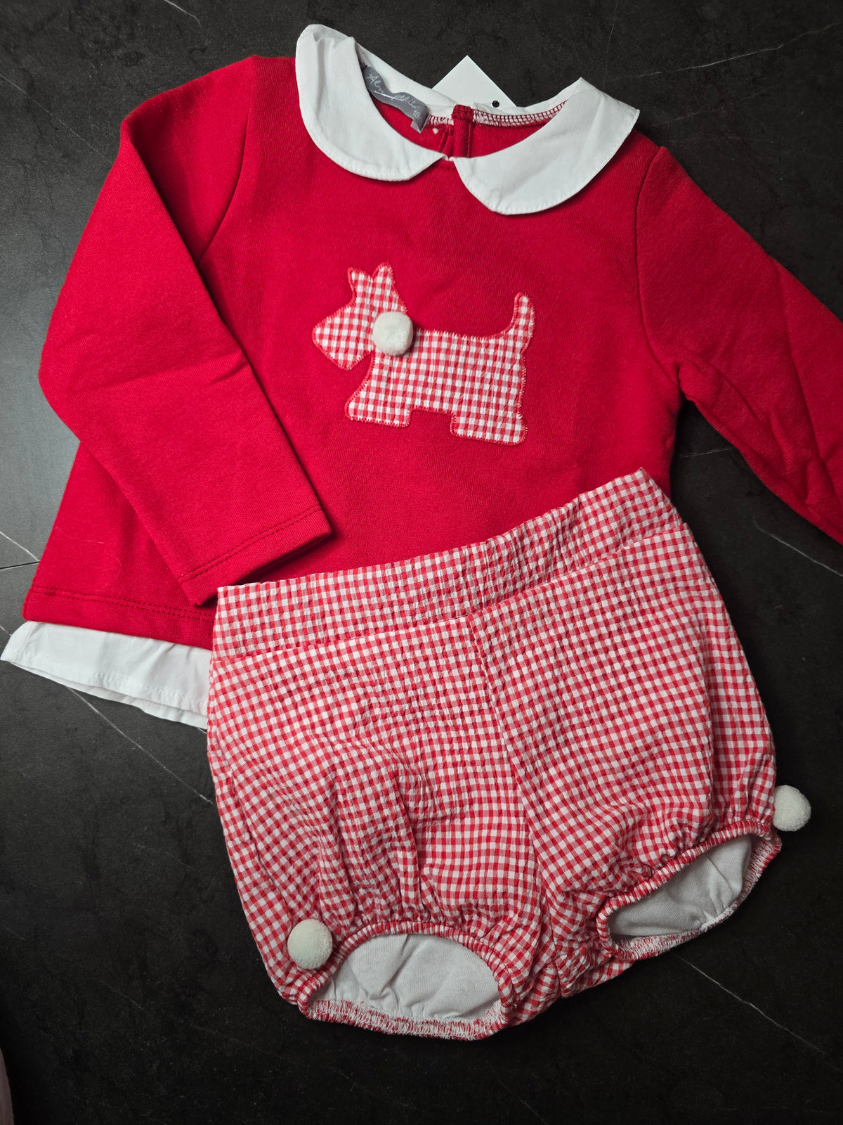 Baby Red Gingham Dog Set – 2 Pieces
